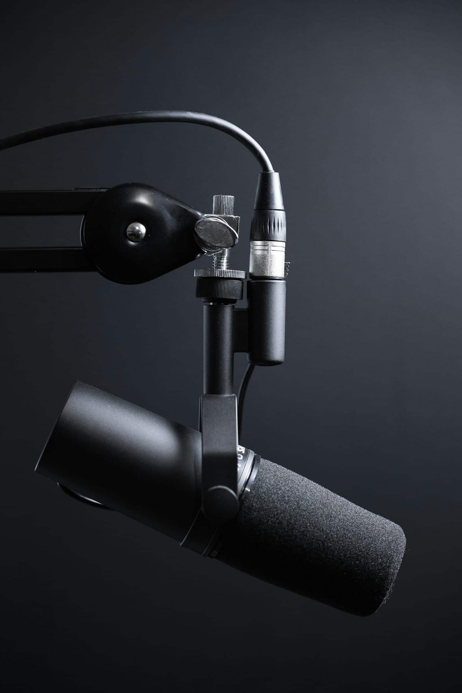 Studio microphone for reviewing audio masters